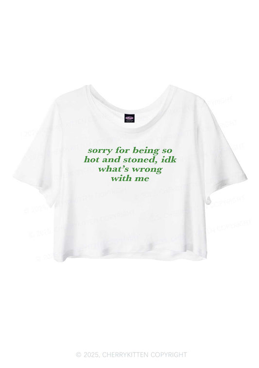 Sorry For Being Hot And Stoned Y2K Sheer Crop Tee Cherrykitten