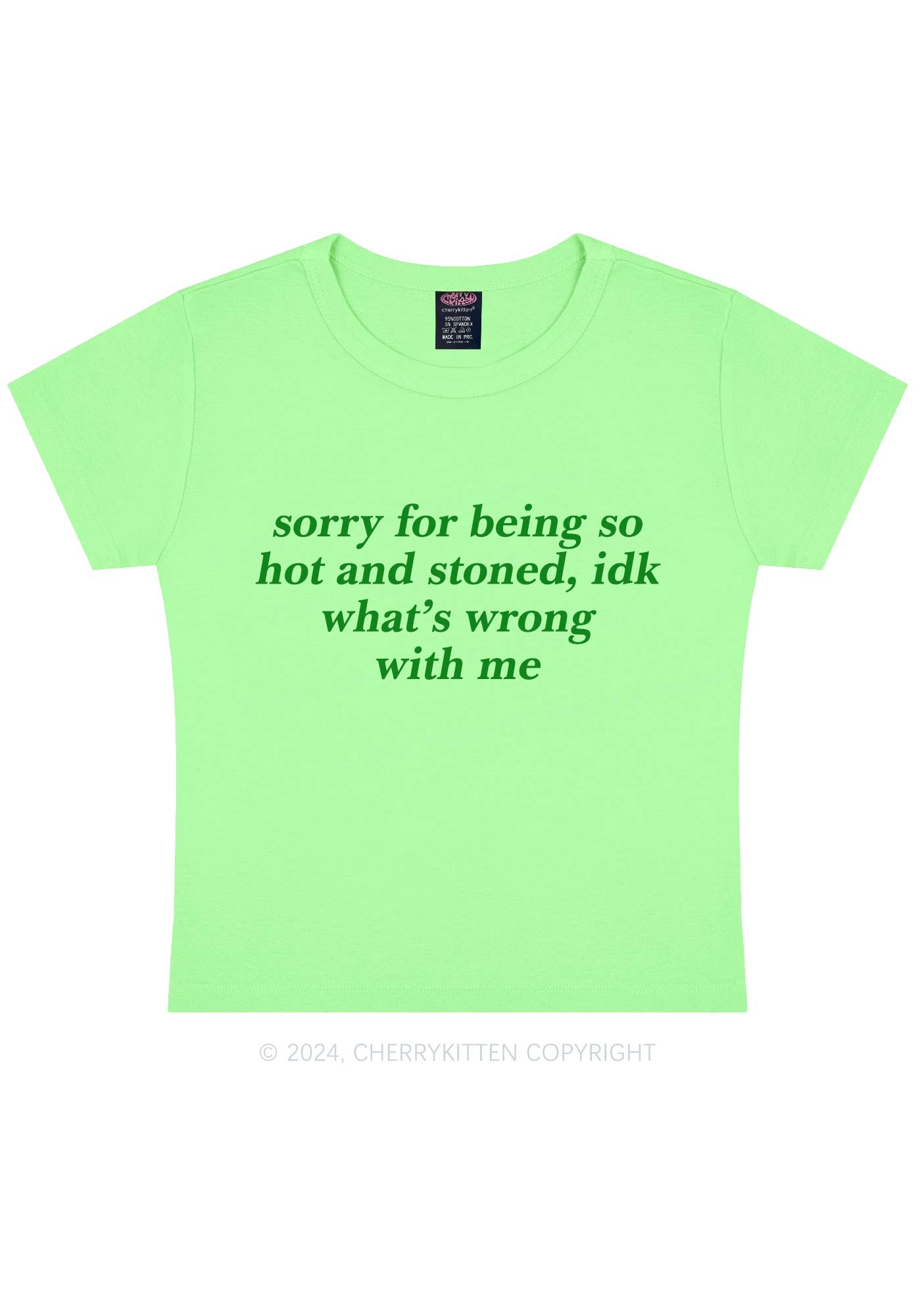 Sorry For Being Hot And Stoned Y2K Baby Tee Cherrykitten