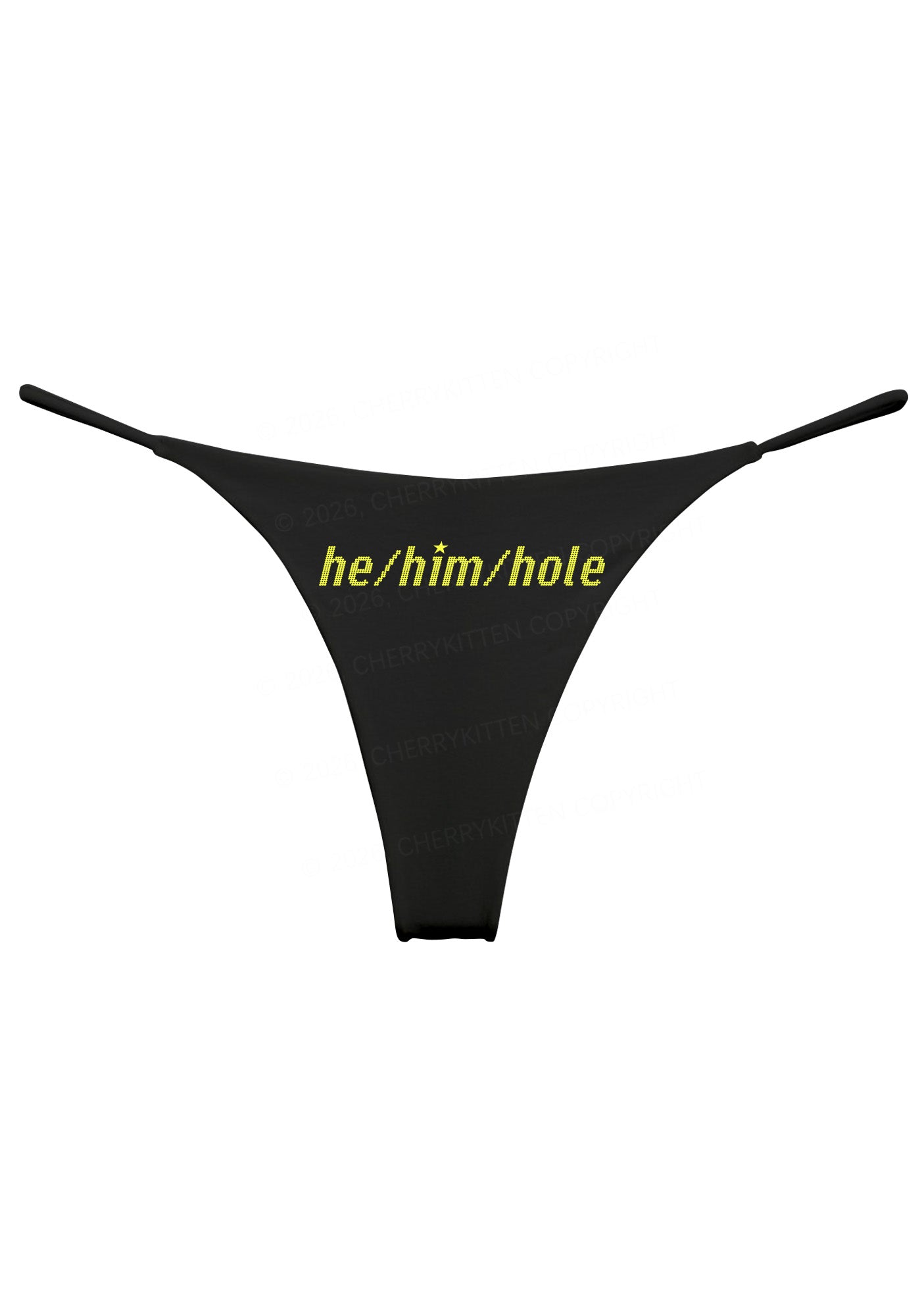 He Him Hole Pride Y2K Bikini String Thong Cherrykitten