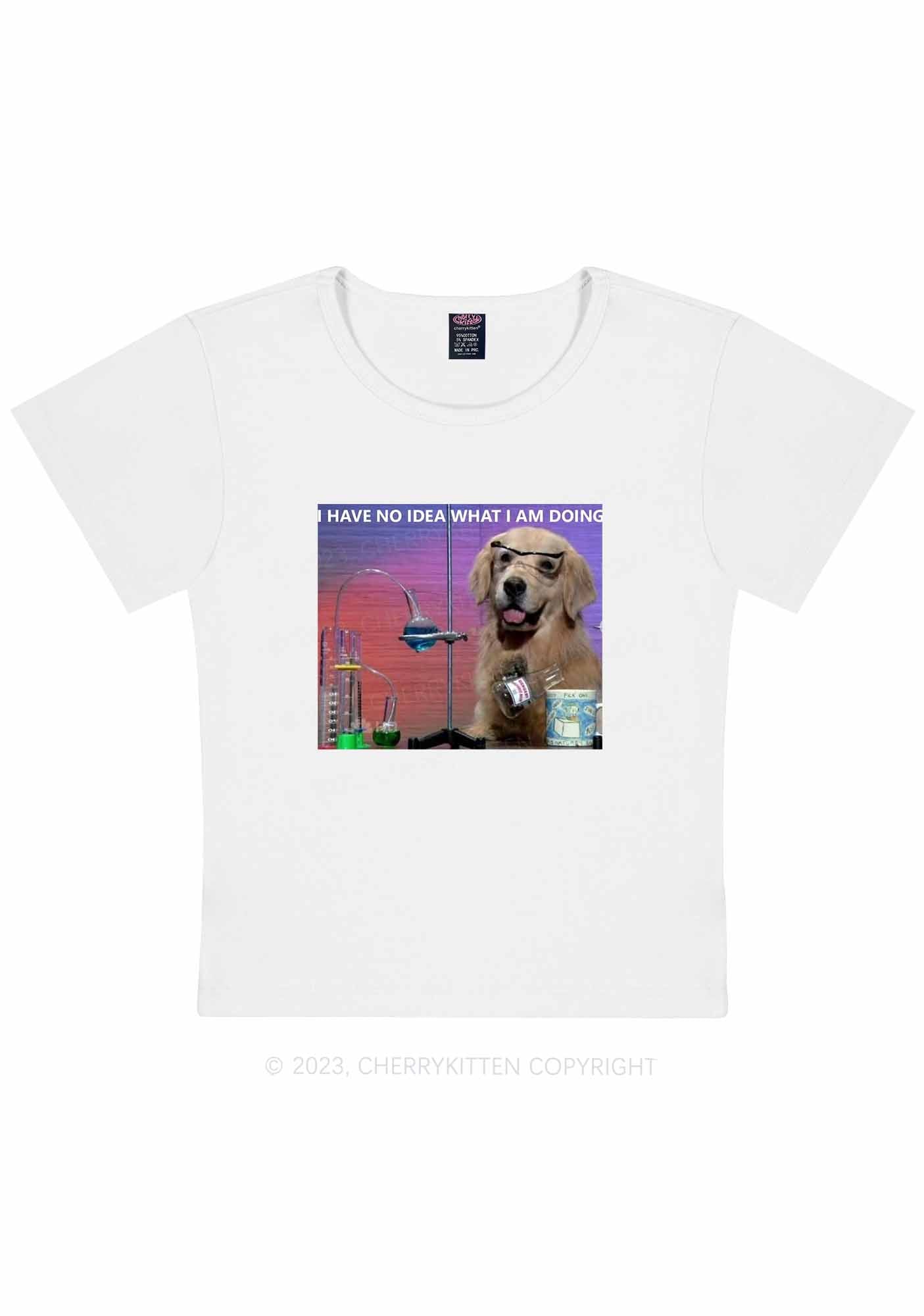 Curvy I Have No Idea Y2K Baby Tee Cherrykitten