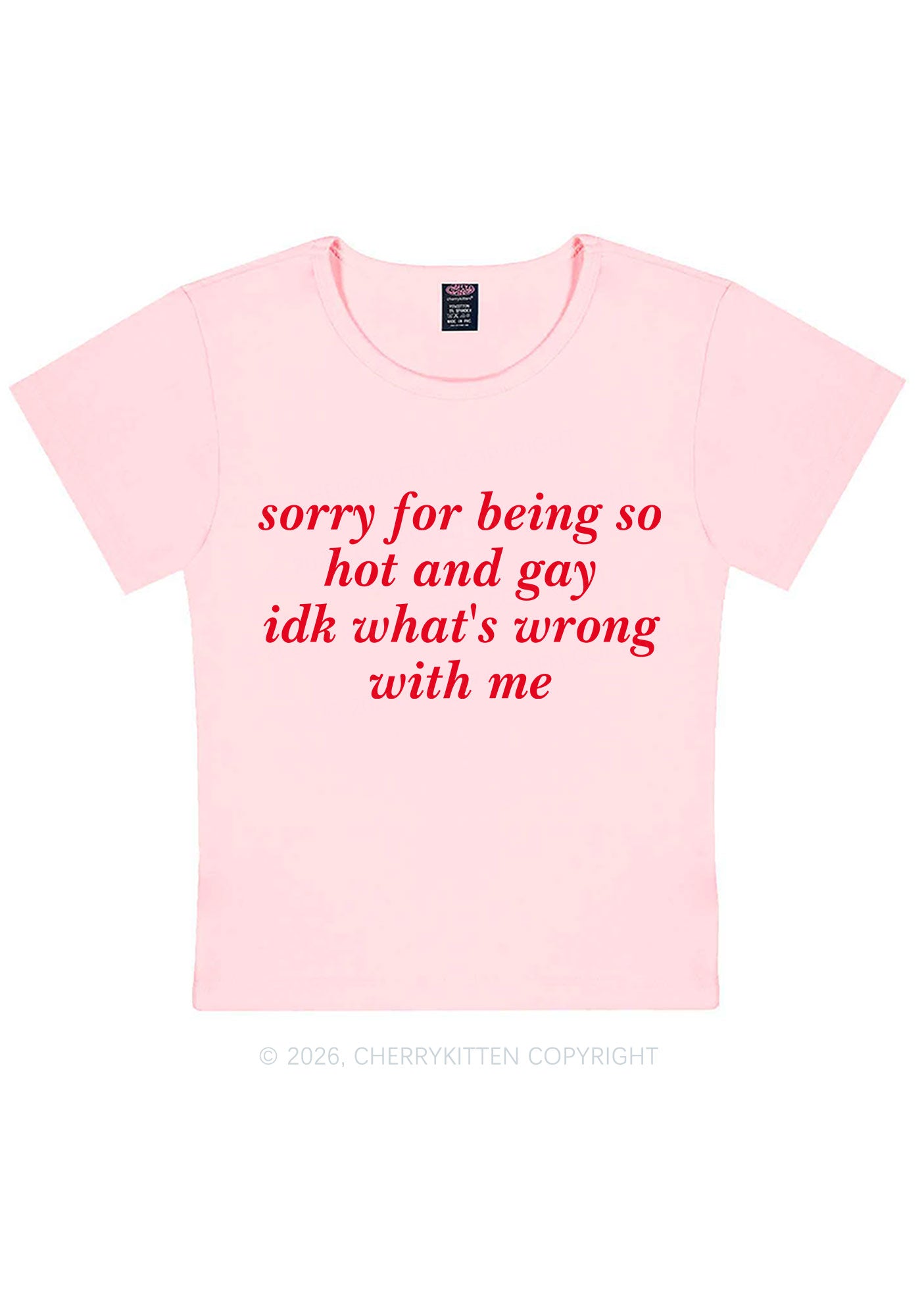 Sorry For Being Gay Pride Y2K Baby Tee Cherrykitten