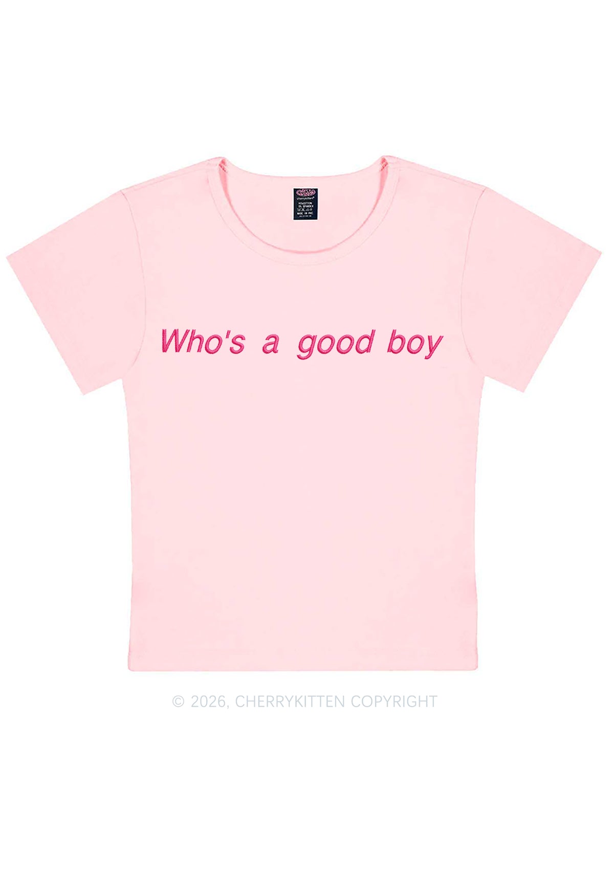 Embroidered Whos A Good Boy Y2K Baby Tee Cherrykitten