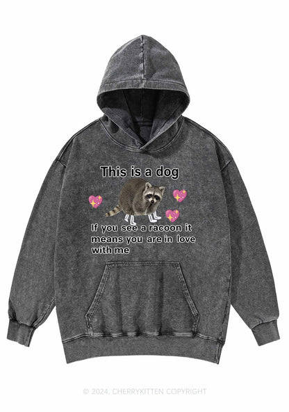 You Are In Love With Me Y2K Washed Hoodie Cherrykitten