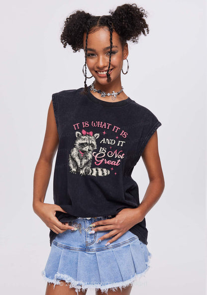Not Great Raccoon Y2K Washed Tank Cherrykitten