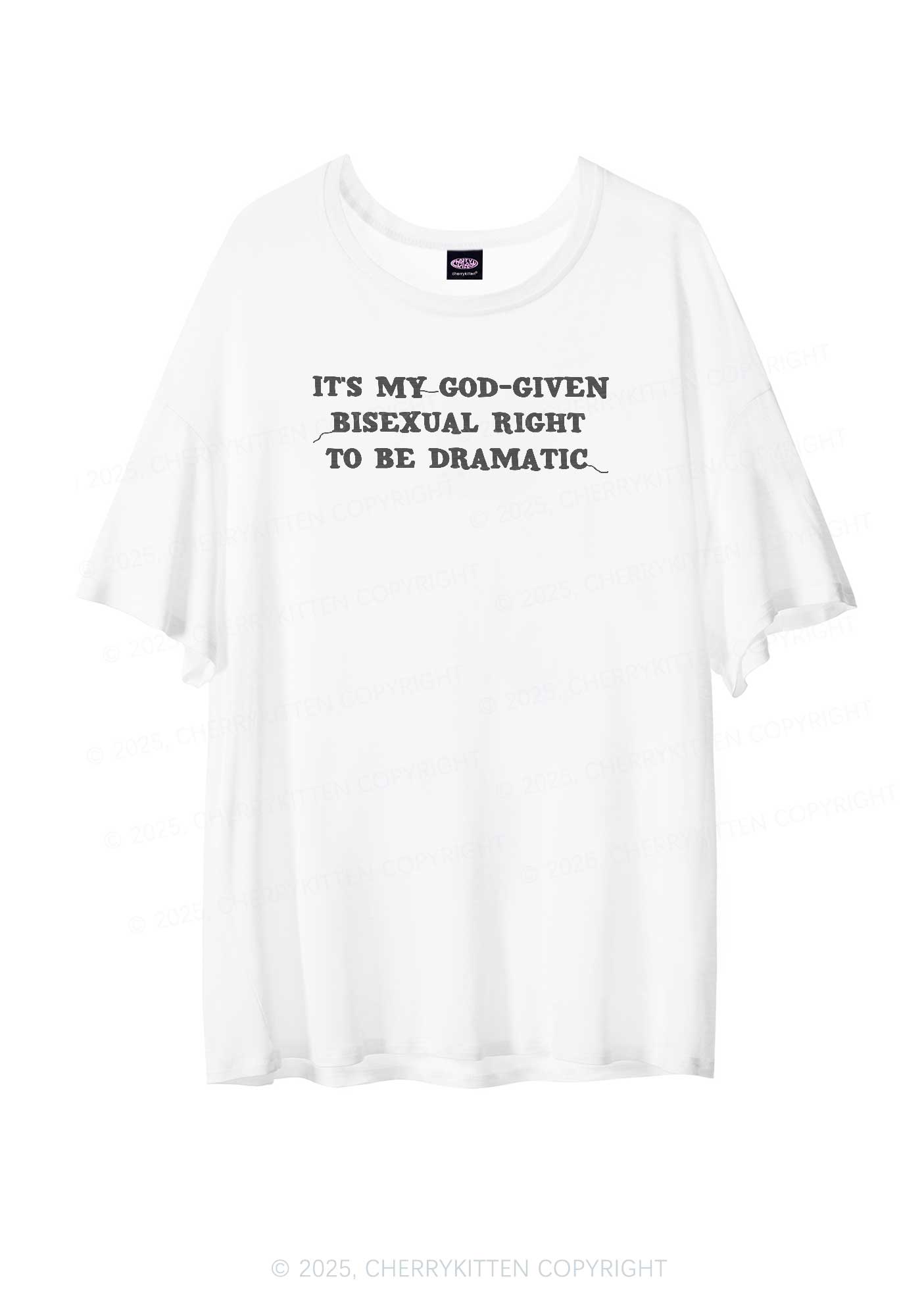 God Given Bisexual Right Pride Y2K Sheer Boyfriend Tee Cherrykitten