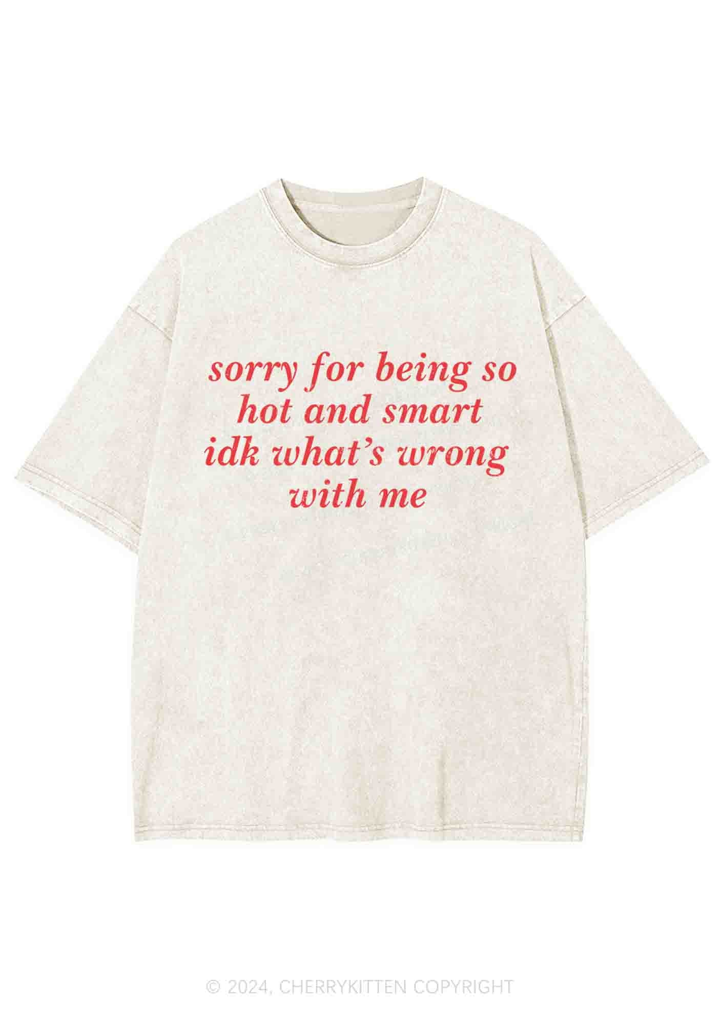 Sorry For Being So Smart Y2K Washed Tee Cherrykitten