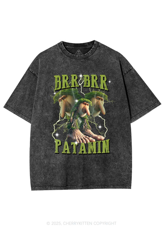 Brr Brr Patapim Italian Brainrot Shirt Y2K Shirts Washed Tee Cherrykitten