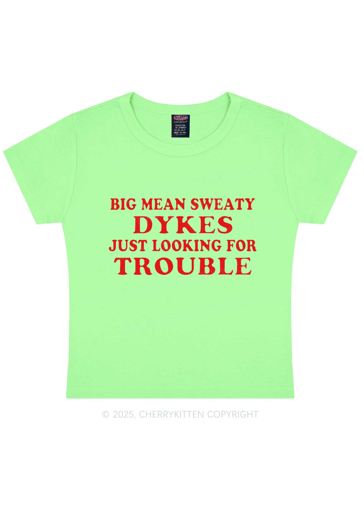 Dykes Trouble Y2K Baby Tee Cherrykitten
