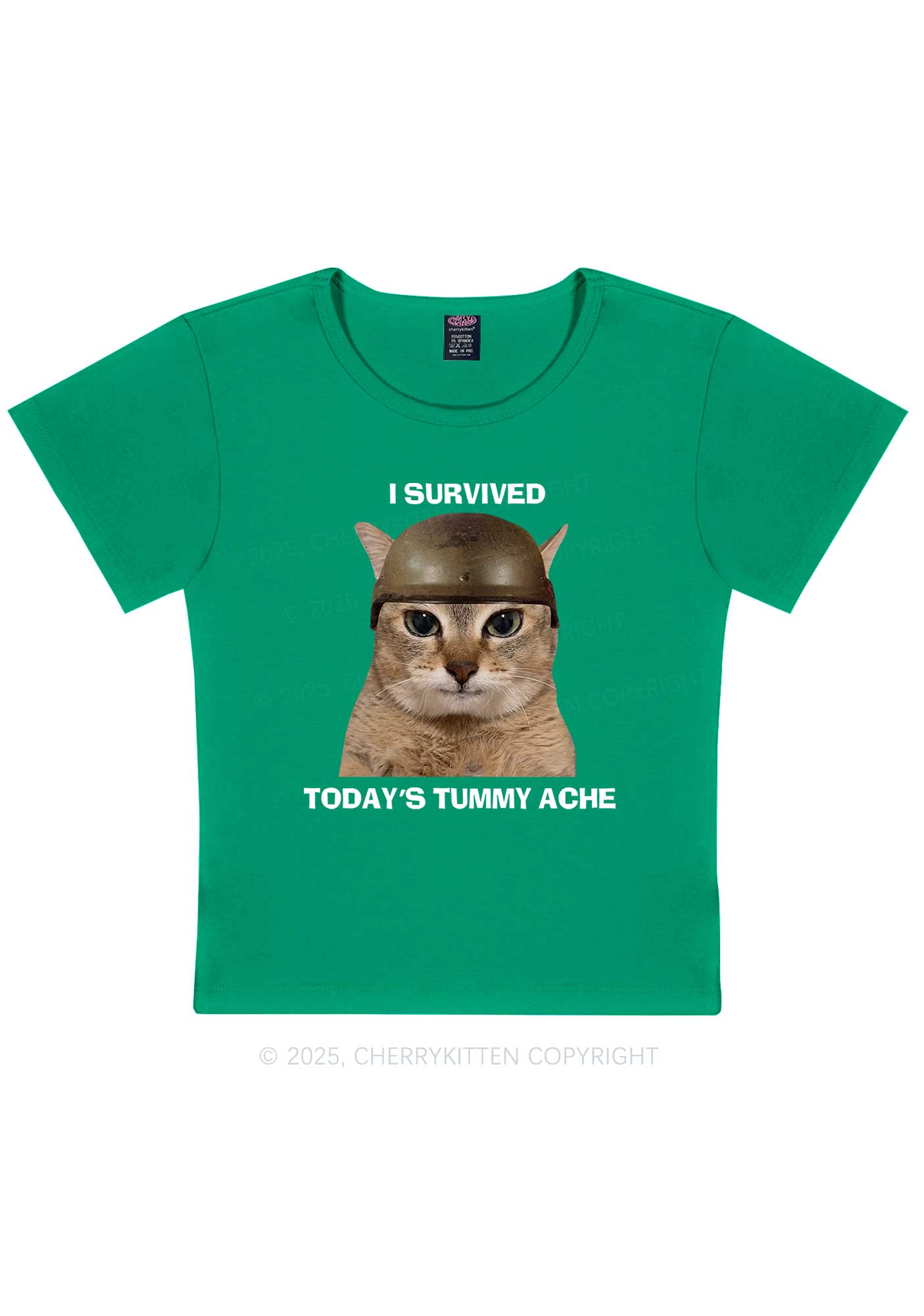 Surived Todays Tummy Ache Y2K Baby Tee Cherrykitten