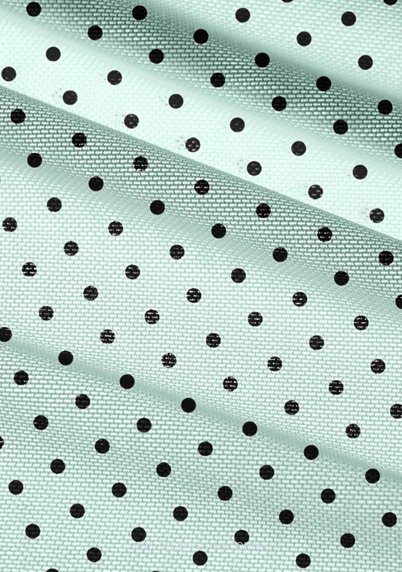 Black Dots On Mint Green Y2K Mesh Ruched  Waist  V Neck Top Cherrykitten