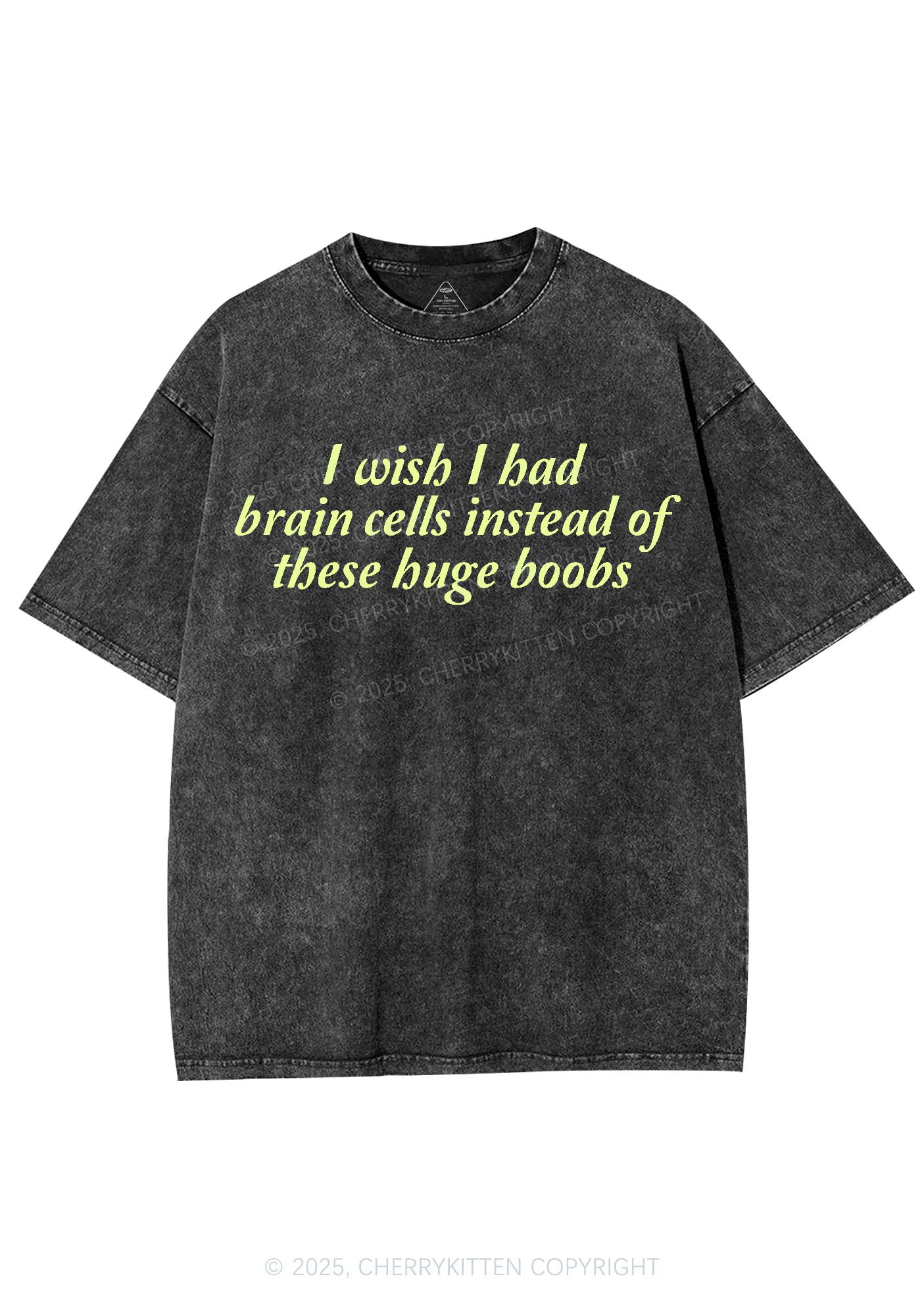 I Had Brain Cells Y2K Shirts Washed Tee Cherrykitten