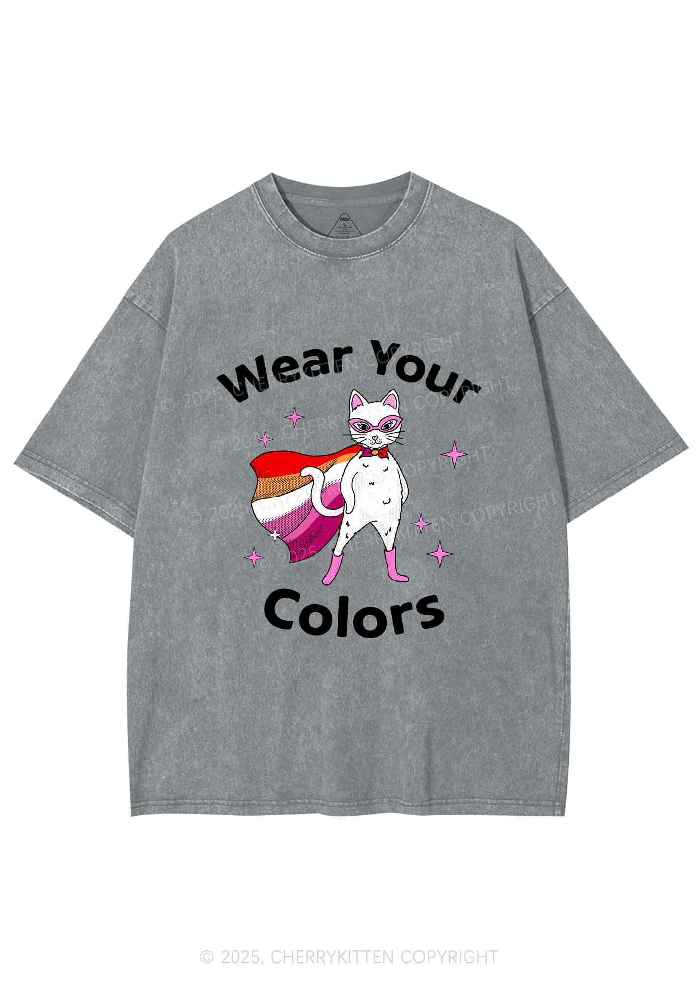Lesbian Flag Cat Pride Y2K Shirts Washed Tee Cherrykitten
