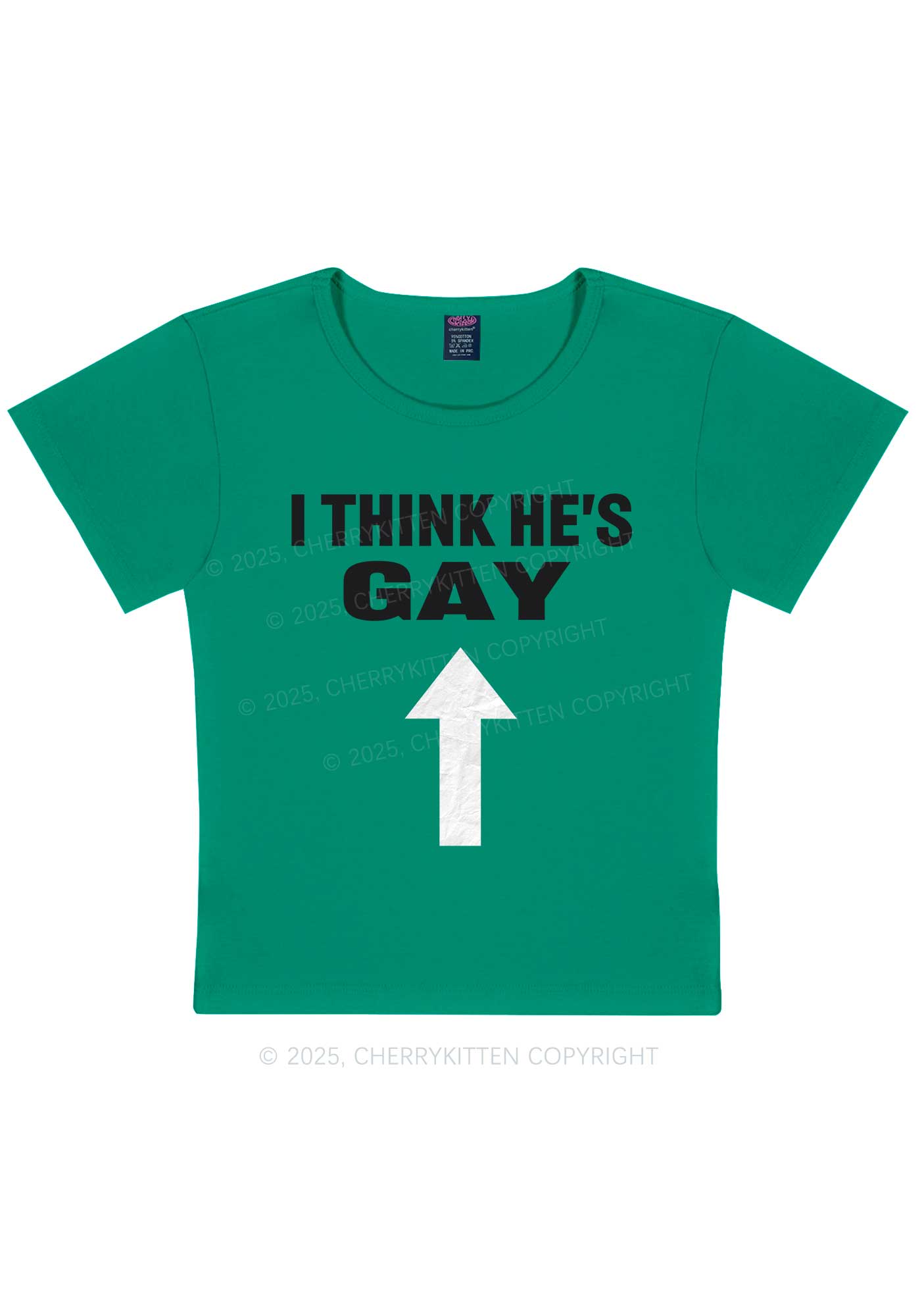 He Is Gay Y2K Baby Tee Cherrykitten