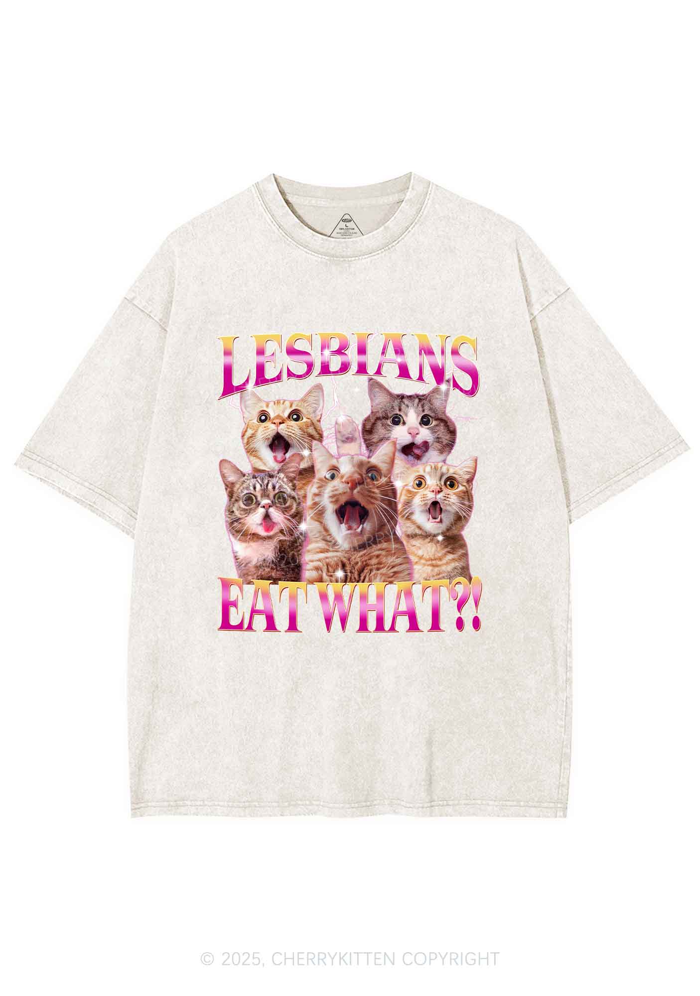 Funny Lesbian Cat Y2K Shirts Washed Tee Cherrykitten