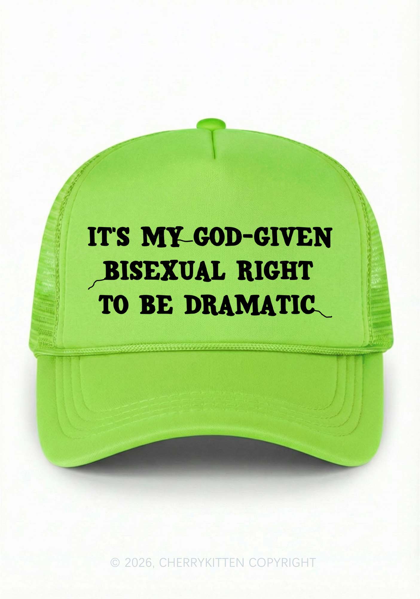 God Given Bisexual Right Pride Y2K Trucker Hat Cherrykitten