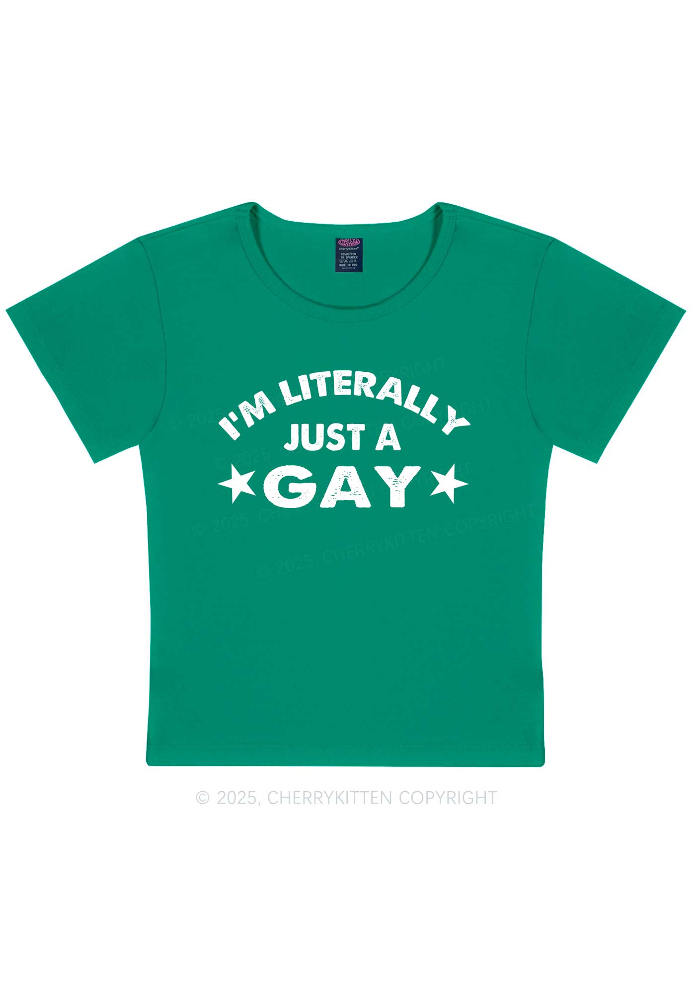 Literally Just A Gay Pride Y2K Baby Tee Cherrykitten