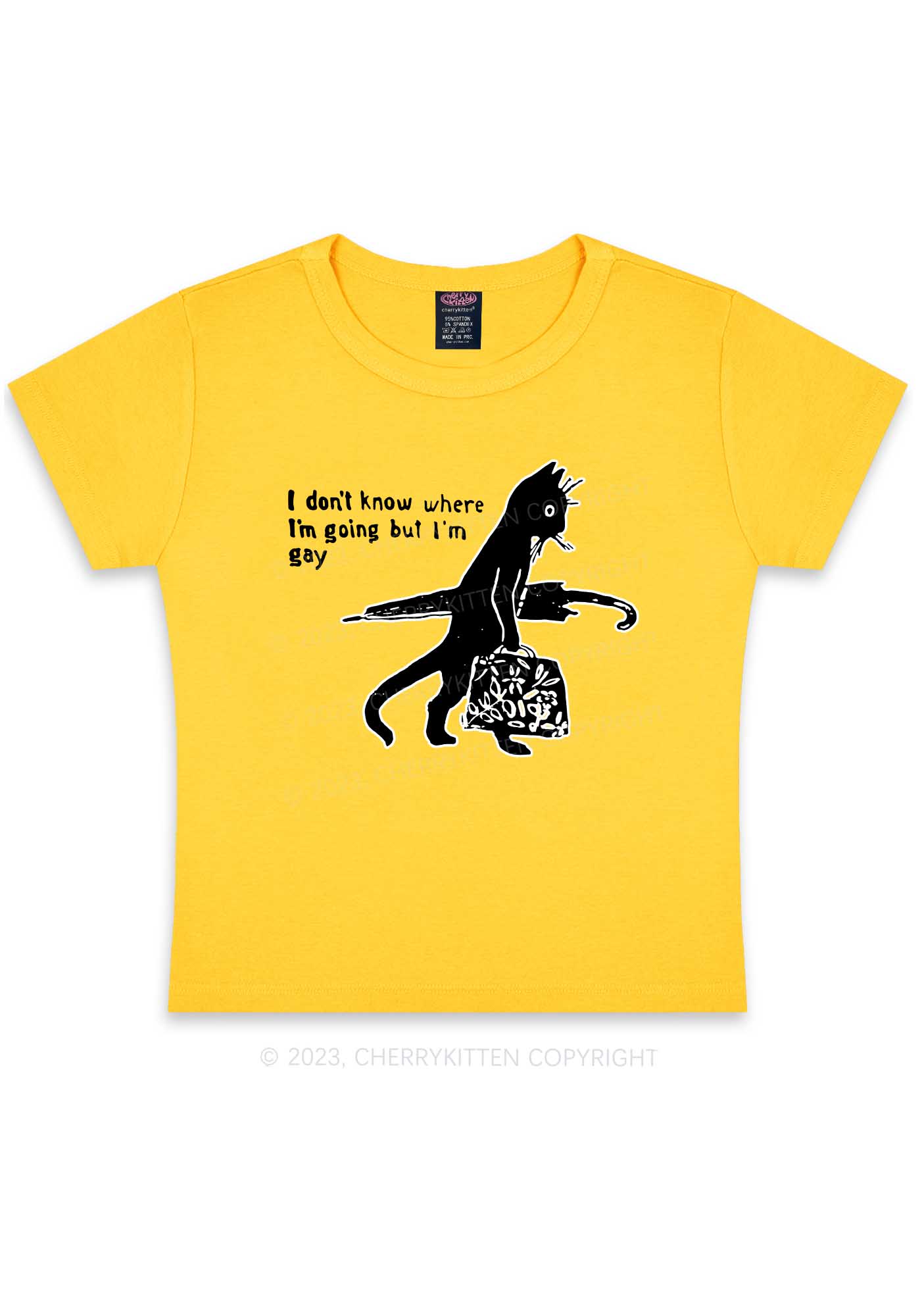 I'm Gay Y2K Baby Tee Cherrykitten