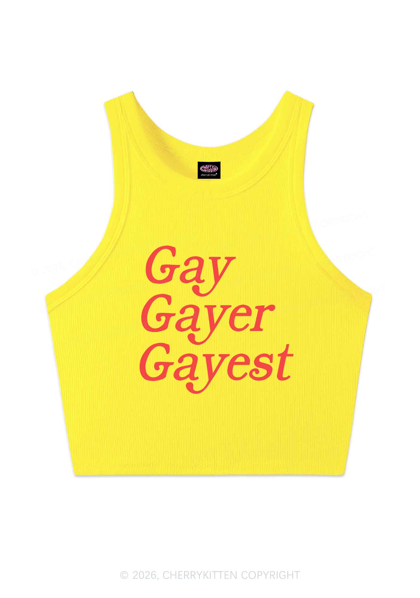 Gay Gayer Gayest Pride Y2K Crop Tank Top Cherrykitten