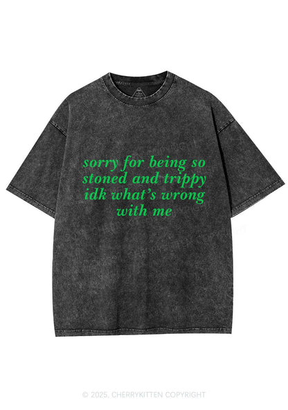 Sorry For Being Stoned And Trippy Y2K Shirts Washed Tee Cherrykitten
