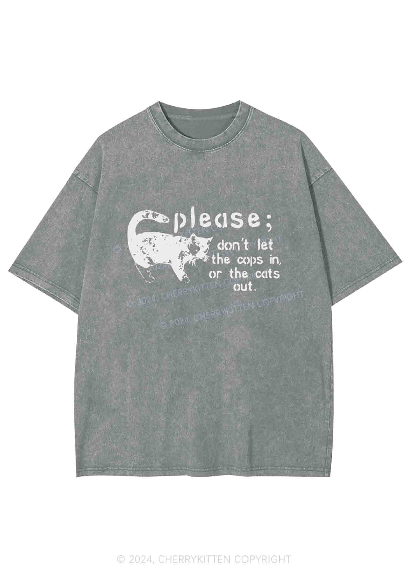 Please Don't Let The Cops In Y2K Washed Tee Cherrykitten