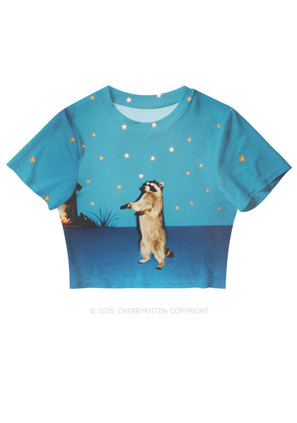 Starry Raccoon Y2K Mesh Crop Top Cherrykitten