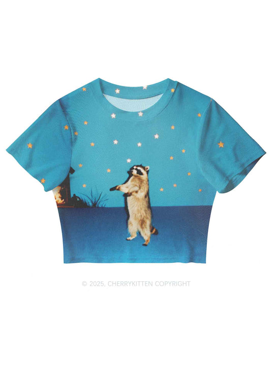 Starry Raccoon Y2K Mesh Crop Top Cherrykitten