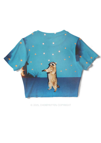 Starry Raccoon Y2K Mesh Crop Top Cherrykitten