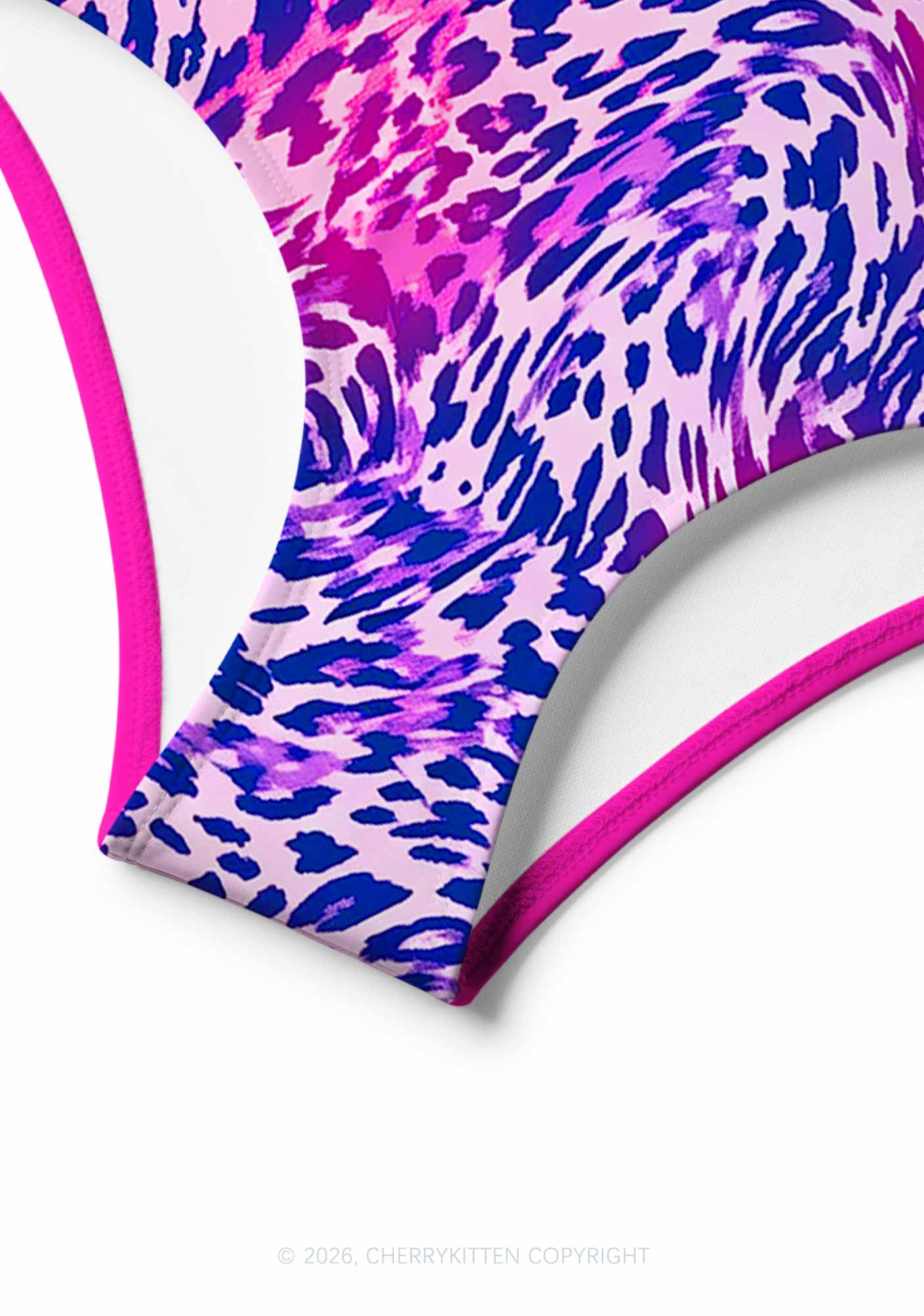 Bisexual Leopard Pride Y2K Print Bikini Set Cherrykitten