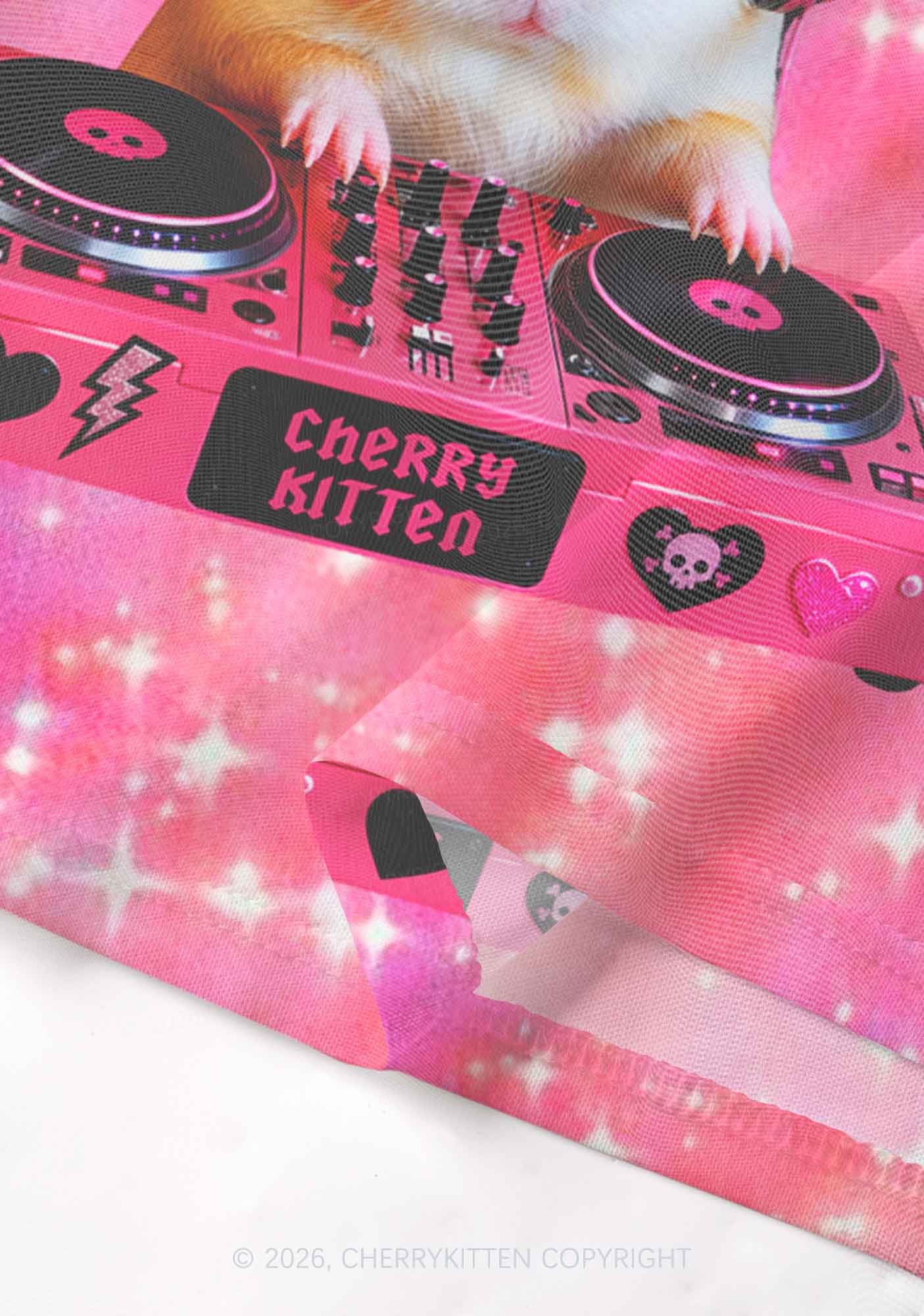 DJ Guinea Pig Y2K Mesh Crop Top Cherrykitten