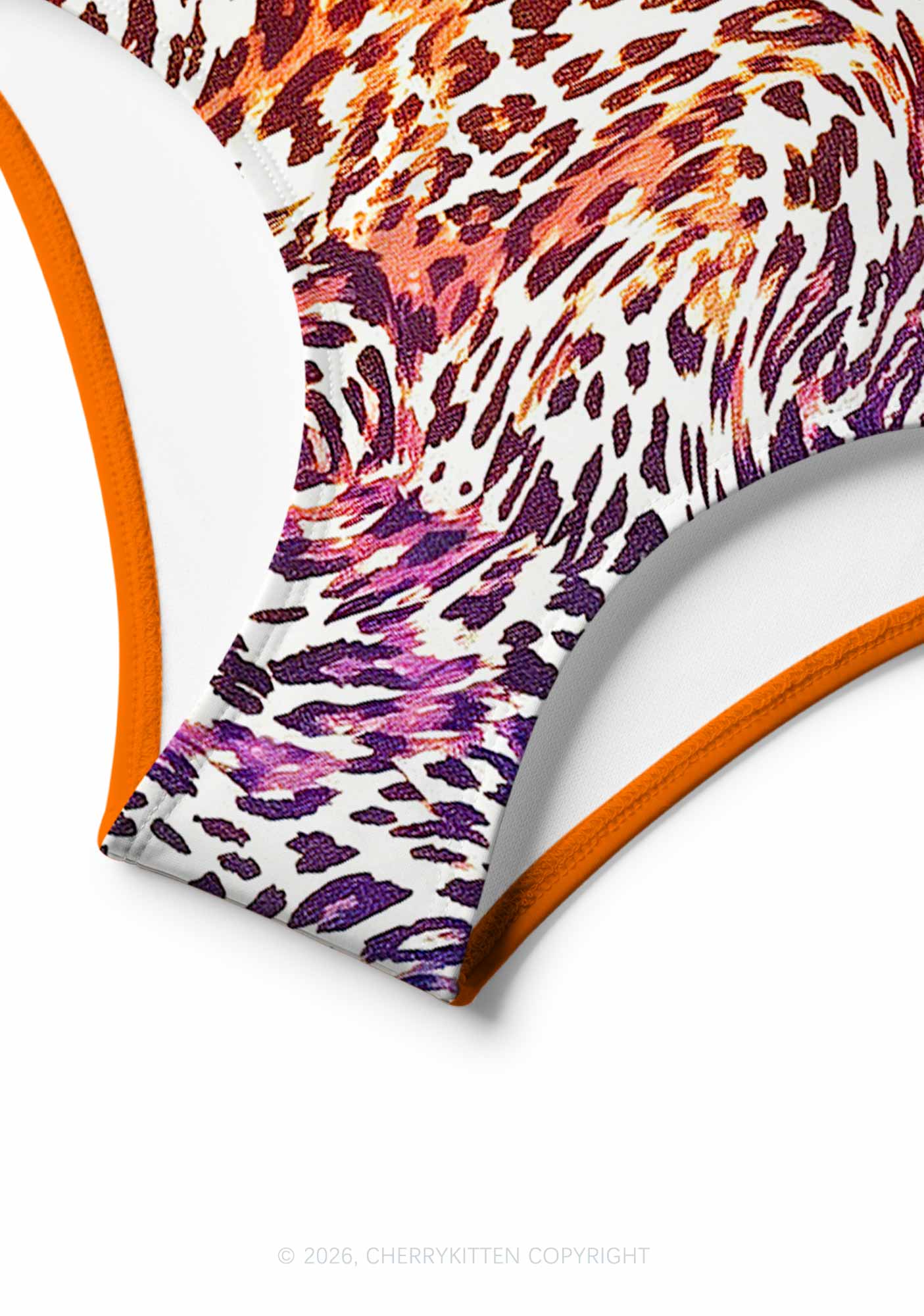Lesbian Leopard Pride Y2K Print Bikini Set Cherrykitten