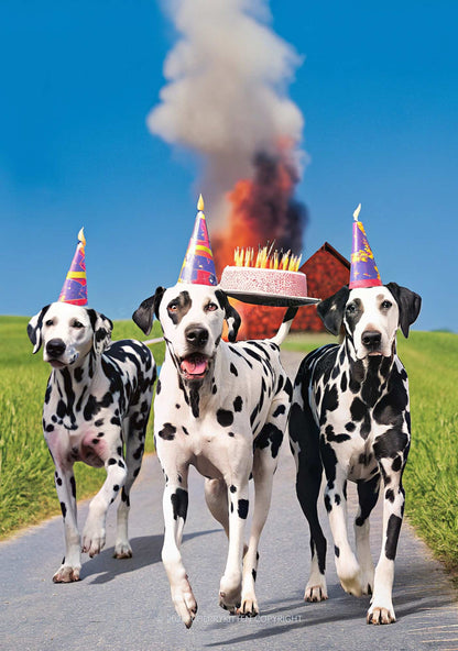 Dogs Birthday Party Y2K Print Mini Skirt Cherrykitten
