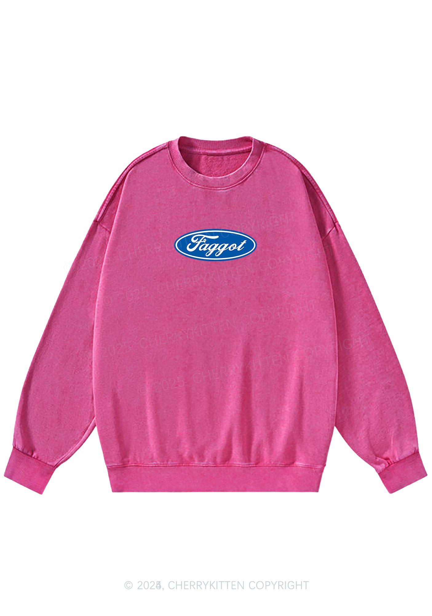 Faggot Pride Y2K Washed Sweatshirts Cherrykitten