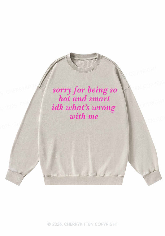 Sorry For Being So Smart Y2K Washed Sweatshirts Cherrykitten