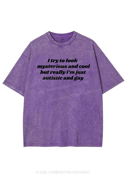 Im Just Autistic And Gay Pride Y2K Shirts Washed Tee Cherrykitten