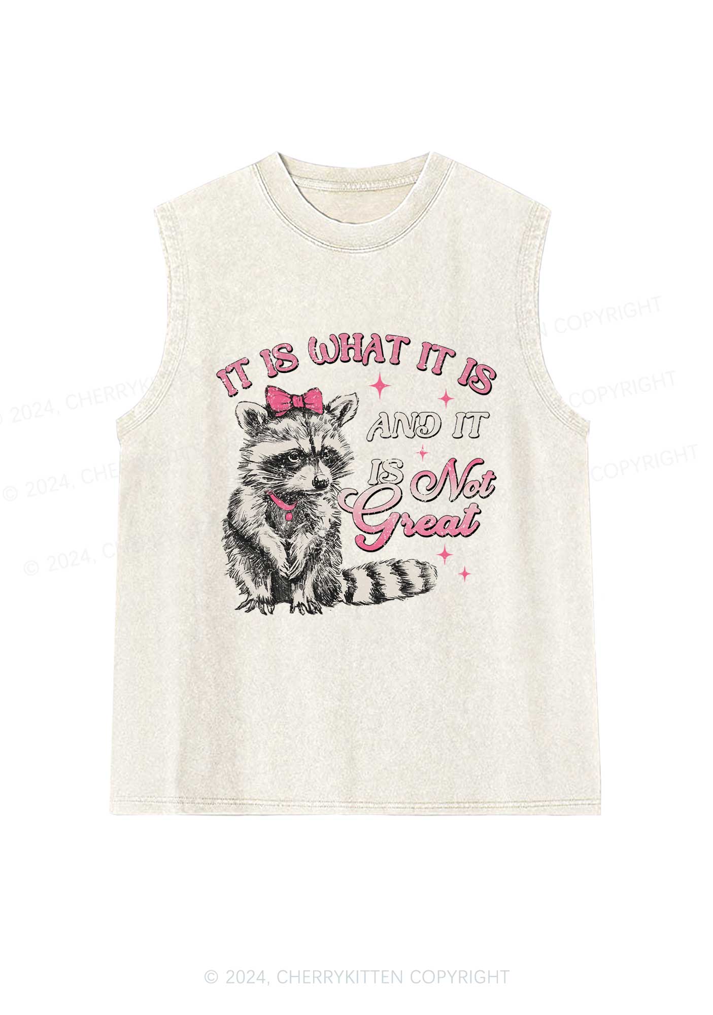 Not Great Raccoon Y2K Washed Tank Cherrykitten