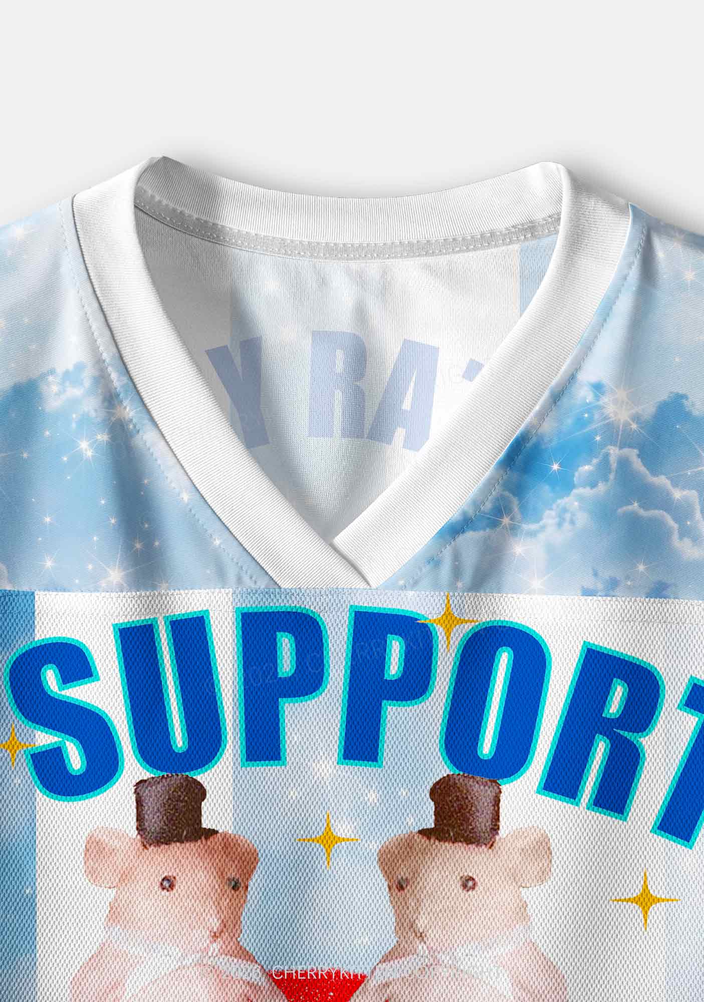 Support Gay Rats Pride Y2K Crop Sport Jersey Shirts Cherrykitten