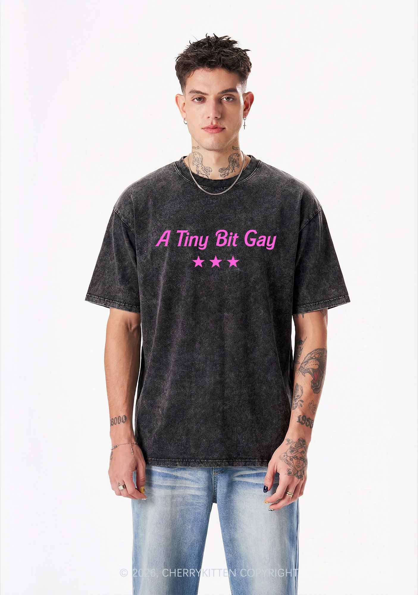 A Tiny Bit Gay Pride Y2K Shirts Washed Tee Cherrykitten
