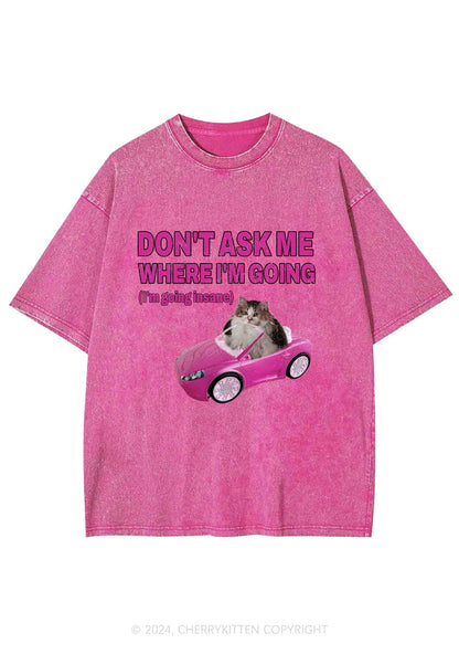 I'm Going Insane Y2K Washed Tee Cherrykitten