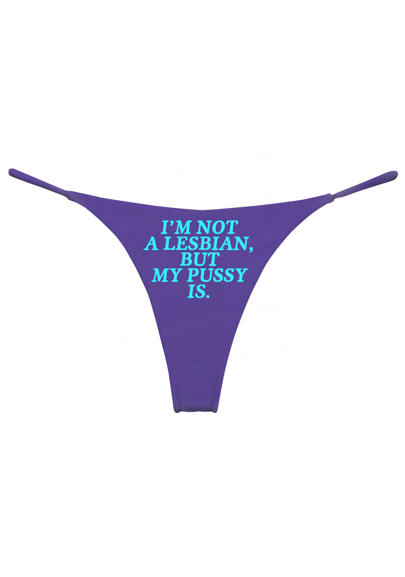Im Not A Lesbian Pride Y2K Bikini String Thong Cherrykitten