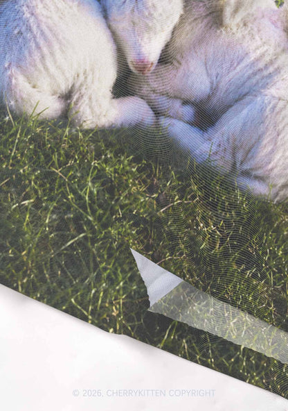 Angel Wings Baby Lambs Y2K Mesh Crop Top Cherrykitten