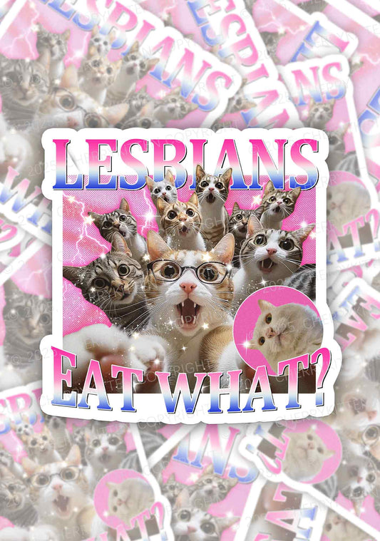 Lesbians Eat What Cat Pride 1Pc Y2K Sticker Cherrykitten