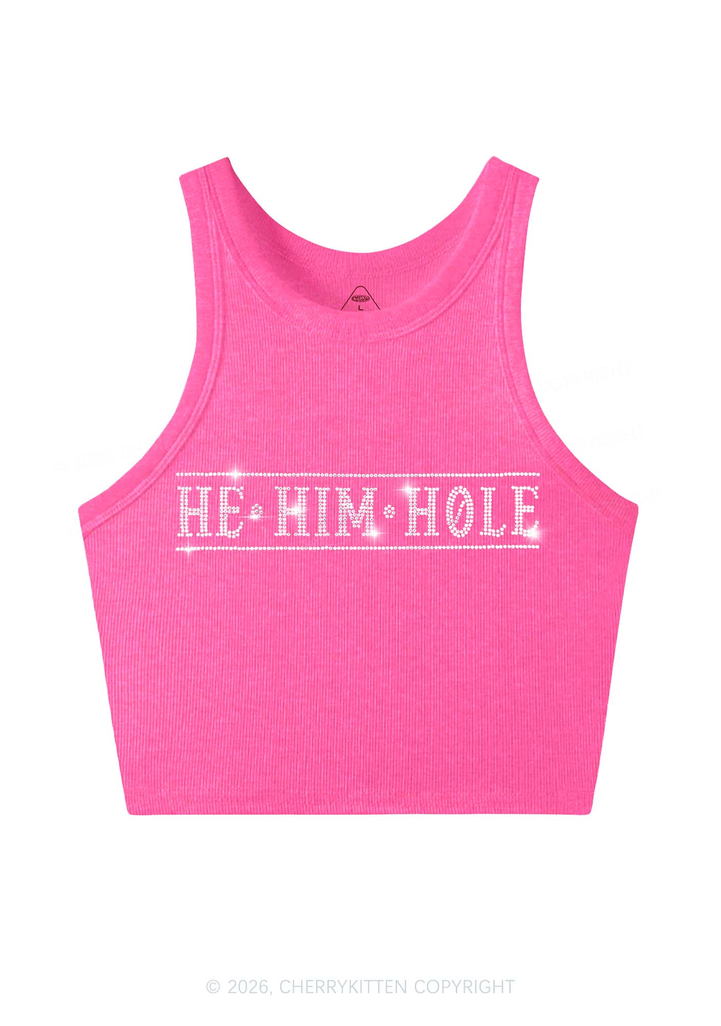 Rhinestone He Him Hole Pride Y2K Crop Tank Top Cherrykitten
