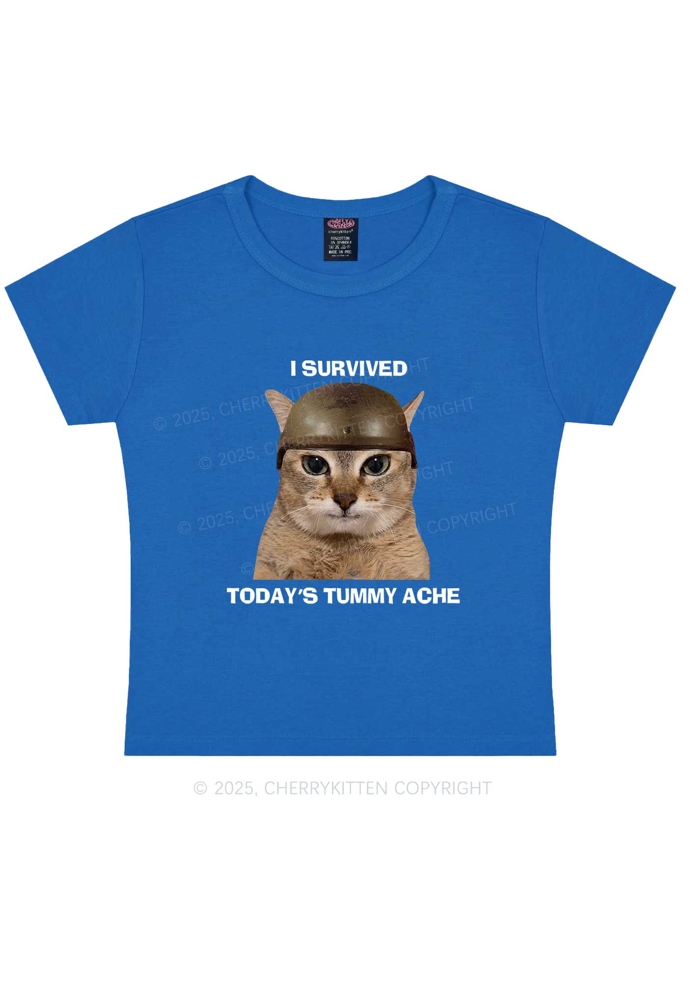 Surived Todays Tummy Ache Y2K Baby Tee Cherrykitten