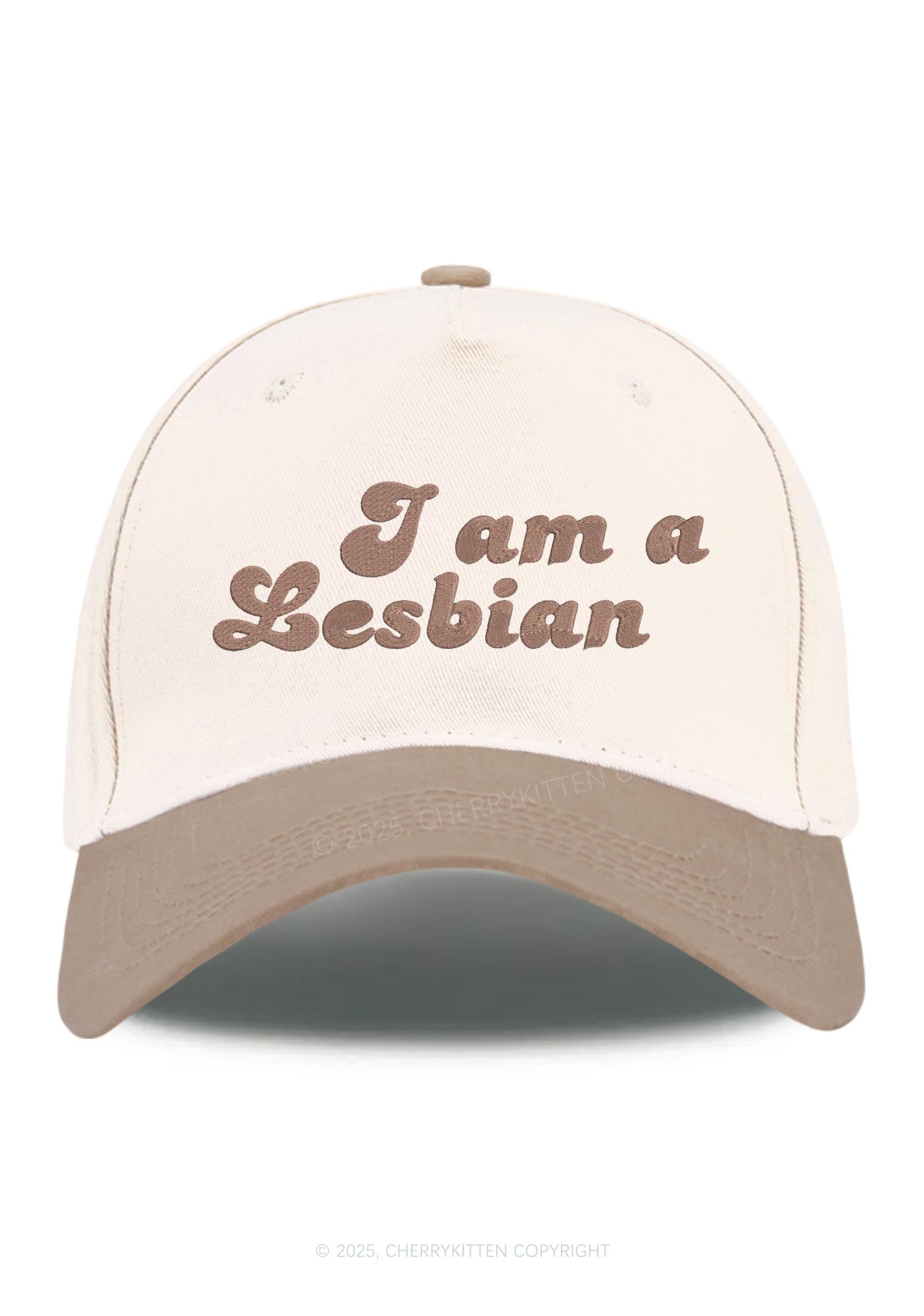Embroidered Im Lesbian Pride Y2K Color Block Baseball Cap Cherrykitten