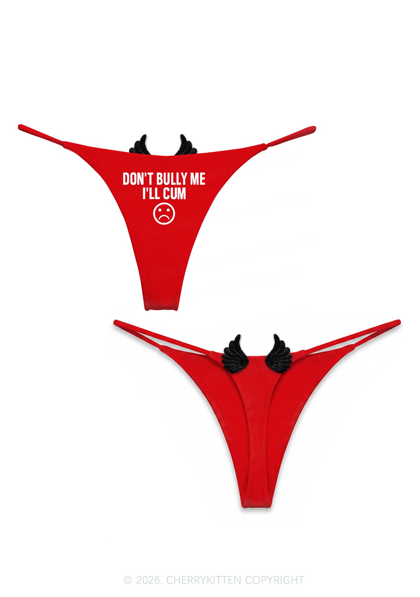 Dont Bully Me Y2K Goth Angel Wings Bikini String Thong Cherrykitten