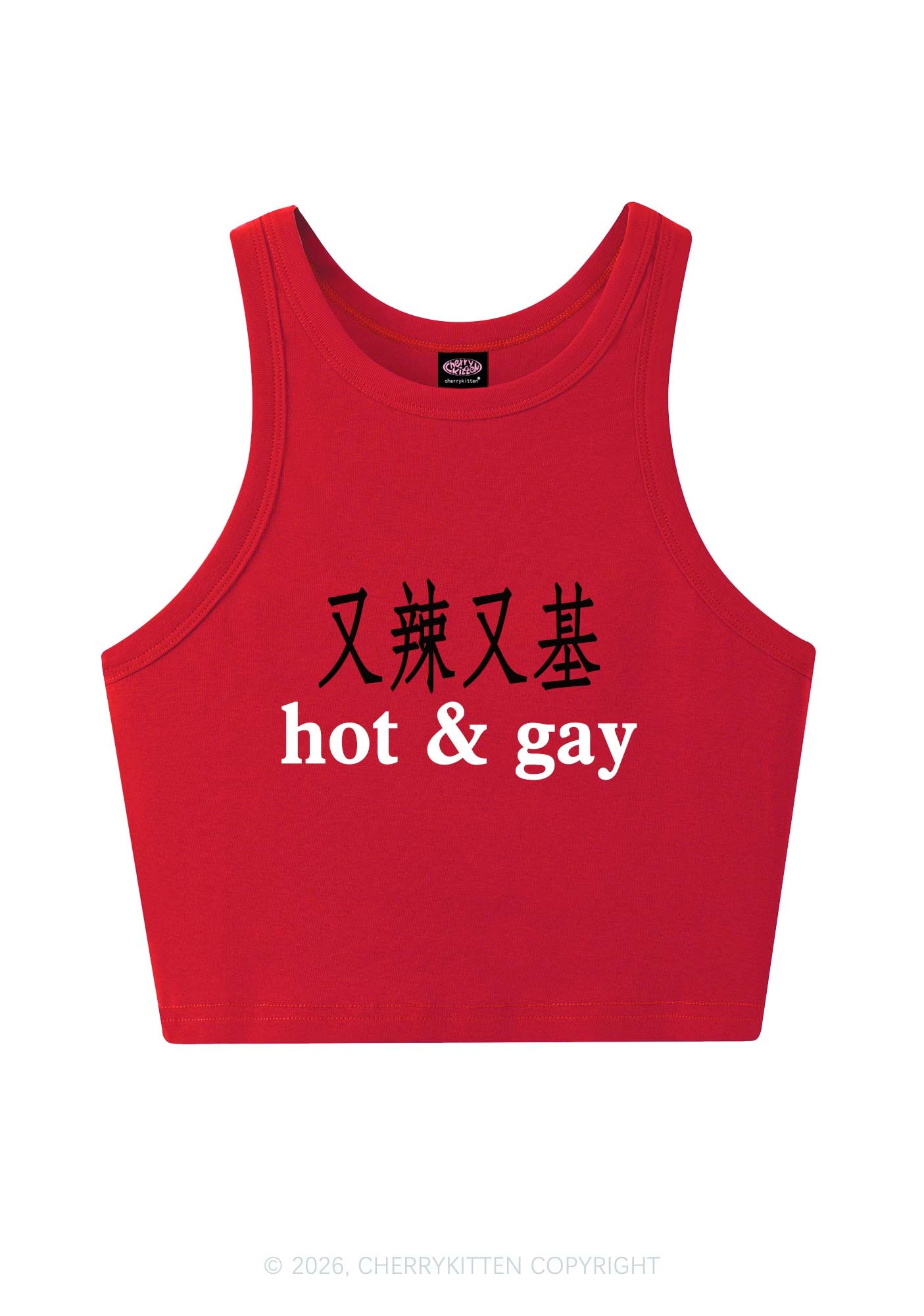 Hot Gay Pride Y2K Crop Tank Top Cherrykitten