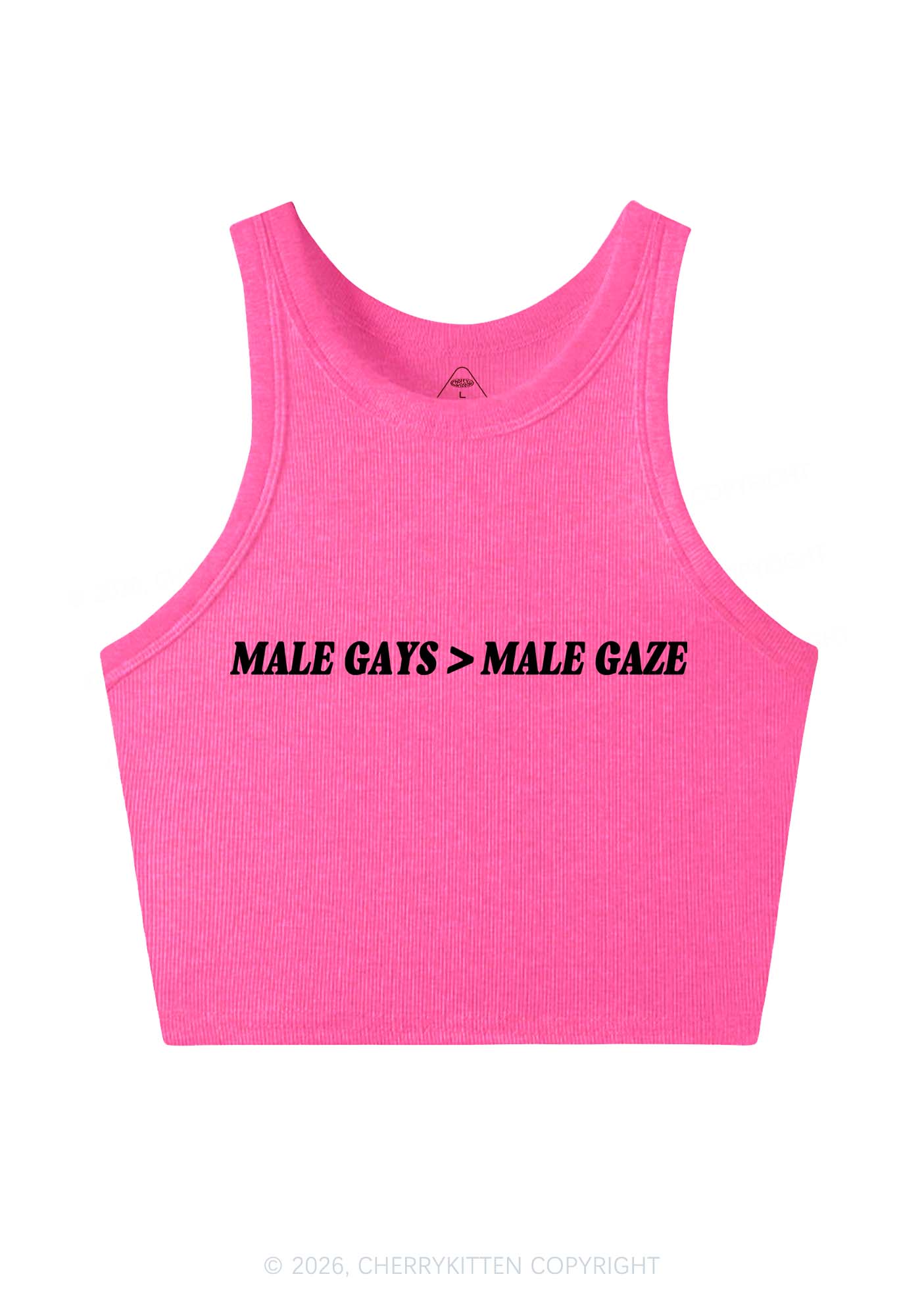 Male Gays Male Gaze Pride Y2K Crop Tank Top Cherrykitten