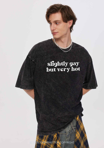 Slightly Gay But Very Hot Pride Y2K Shirts Washed Tee Cherrykitten
