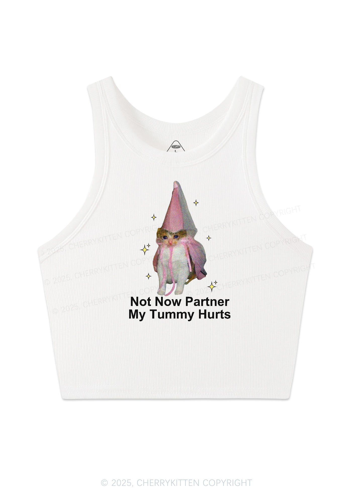 Tummy Hurts Cat Y2K Crop Tank Top Cherrykitten