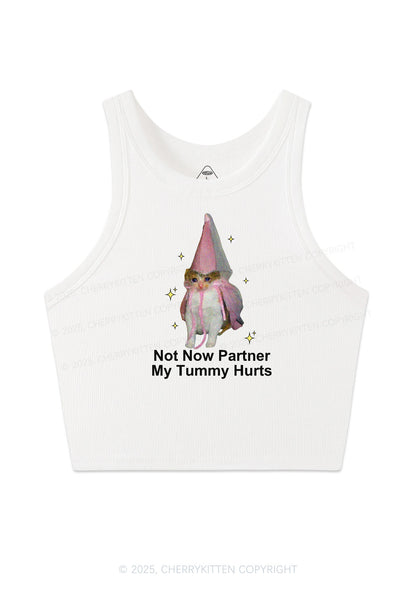 Tummy Hurts Cat Y2K Crop Tank Top Cherrykitten